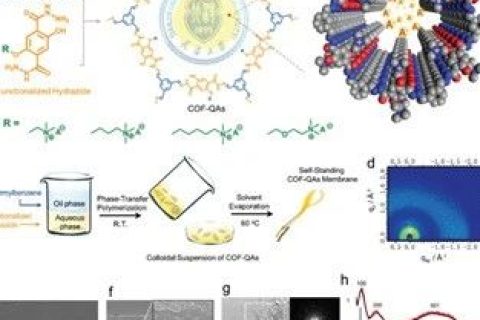 具有最高氫氧化物電導(dǎo)率的COFs膜，實現(xiàn)超快陰離子傳輸
