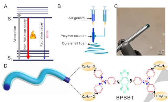 唐本忠院士/王東副教授?《Angew》：光熱轉(zhuǎn)換效率22.36%！神奇的AIE核殼納米纖維