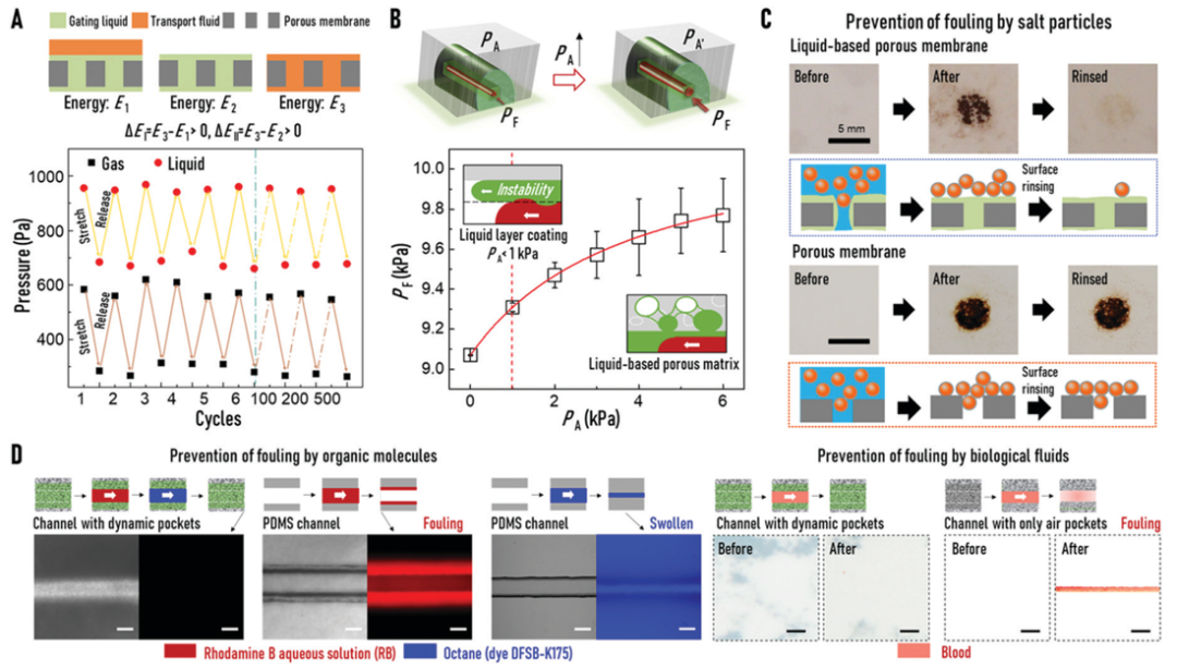 廈門大學侯旭課題組綜述：液基多孔膜，微納孔道藏世界，液體門控通乾坤！