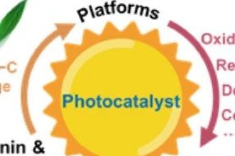 生物質高效利用新方向：光催化木質纖維素轉化制化學品