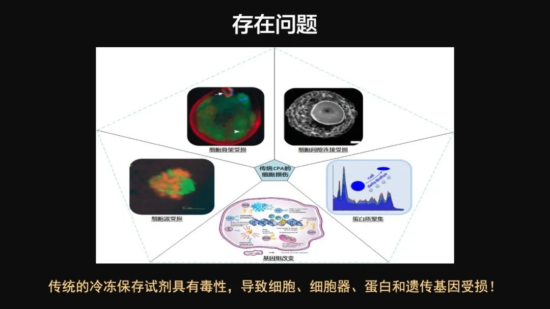 王健君：實(shí)證百年科學(xué)猜想，人體凍存未來可期