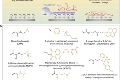 表面涂層領(lǐng)域新突破！一種可控功能化聚合物表面的通用涂層策略