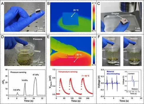 《Science Advances》：柔性多功能觸覺(jué)傳感器