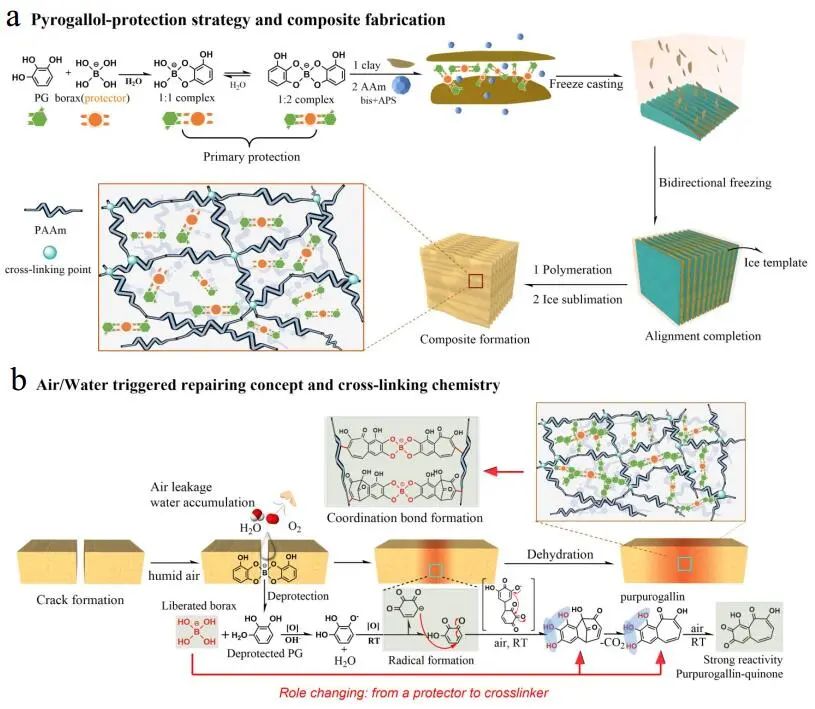 江漢大學曹一平《ACS Nano?》：仿生新成果！響應空氣-水的復合材料，具有優(yōu)異的隔熱、自修復和自生長能力