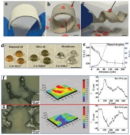 清華大學(xué)鄭泉水院士團(tuán)隊(duì)《AFM》：耐磨損、耐沖擊、自清潔的超疏水/超疏油微納復(fù)合材料