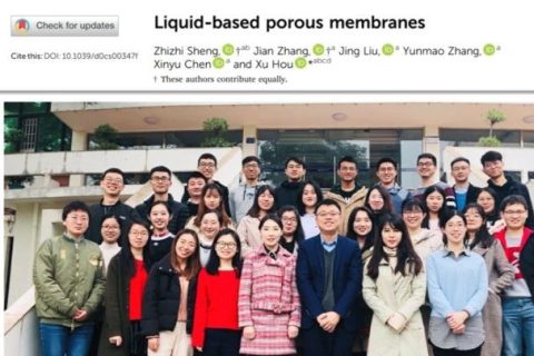 廈門大學(xué)侯旭課題組綜述：液基多孔膜，微納孔道藏世界，液體門控通乾坤！