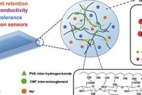 纖維素納米纖維增強離子導電水凝膠：制備簡單，應(yīng)用前景廣泛