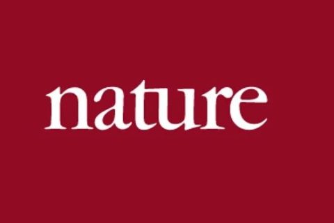 《Nature》子刊：仿昆蟲表皮的膽甾型圖案設(shè)計用于密碼學標簽！