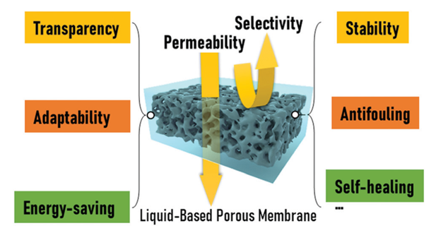 廈門大學侯旭課題組綜述：液基多孔膜，微納孔道藏世界，液體門控通乾坤！