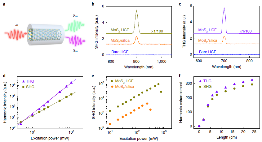 北京大學劉忠范院士/劉開輝教授等《自然·納米技術(shù)》：光纖內(nèi)二維材料的均勻生長實現(xiàn)超高非線性