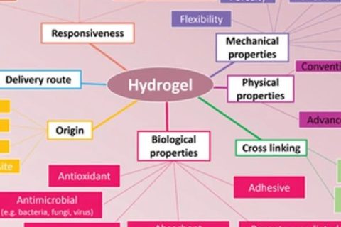 生物醫(yī)學(xué)水凝膠怎么選？先進的納米/水凝膠在生物醫(yī)學(xué)中的潛在應(yīng)用：靜態(tài)，動態(tài)，多級和生物啟發(fā)