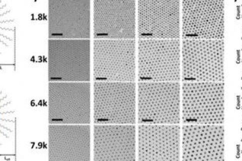 韓國科學(xué)技術(shù)院《ACS Nano》：手把手教你花樣制備納米粒子！