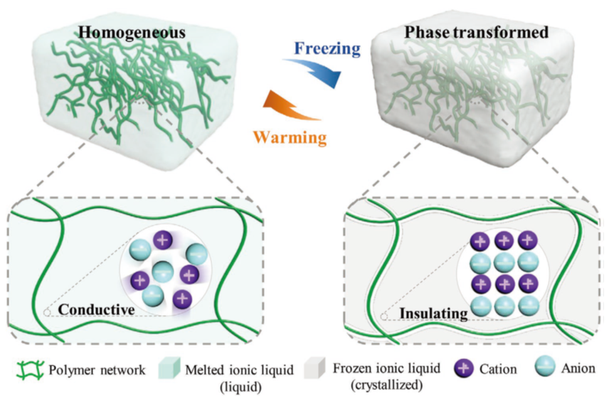 港中深朱世平、張祺團(tuán)隊(duì)AFM：基于相變離子凝膠的柔性可拉伸“離子開關(guān)”