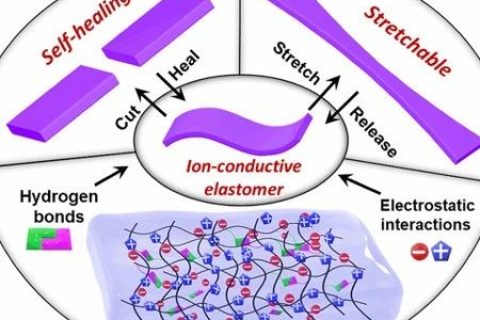 ?不依賴于壓力的觸摸傳感器！可自修復(fù)的純固態(tài)、無(wú)液體、可拉伸、高彈性離子導(dǎo)體
