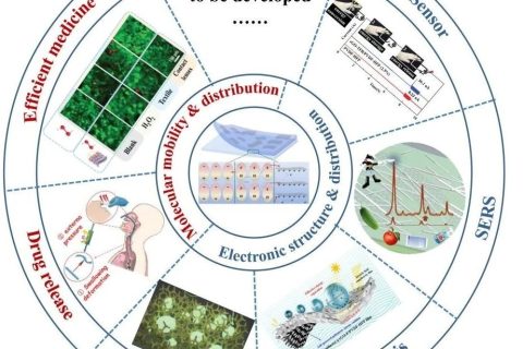 多孔薄膜的壓電-介電耦合研究，實現(xiàn)發(fā)電性能提升