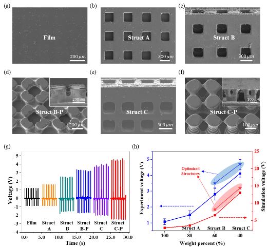 Nano Energy：基于面投影微立體光刻3D打印技術的共形壓電傳感器設計與制造