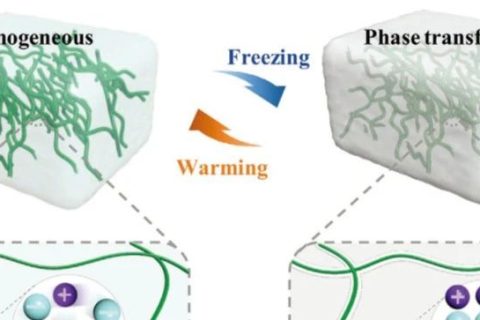 基于相變離子凝膠的柔性可拉伸“離子開關”