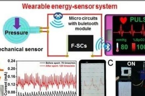 南工大陳蘇團隊《德國應化》：微流體靜電紡絲法構(gòu)筑新型硼-碳納米纖維