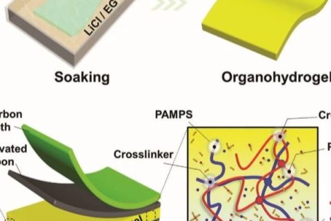 電子設(shè)備怕凍又怕燙怎么辦？中南大學(xué)《AFM》：長(zhǎng)期抗凍抗干的柔性超級(jí)電容器！