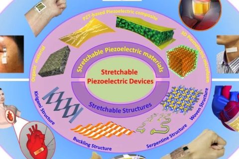 西工大于慶民/PSU程寰宇、廖亞斌合作：新型可延展壓電材料最新進(jìn)展