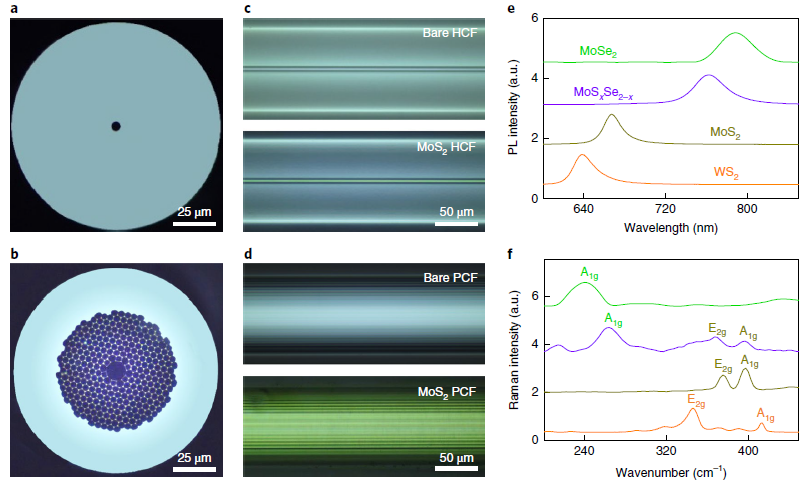北京大學劉忠范院士/劉開輝教授等《自然·納米技術(shù)》：光纖內(nèi)二維材料的均勻生長實現(xiàn)超高非線性