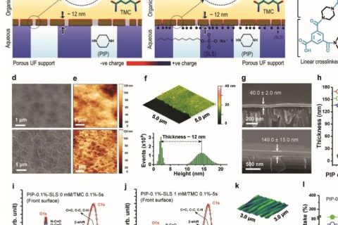 ?當前最高的離子截留率99.99%！《AFM》：超選擇性和高滲透性聚酰胺納米膜！