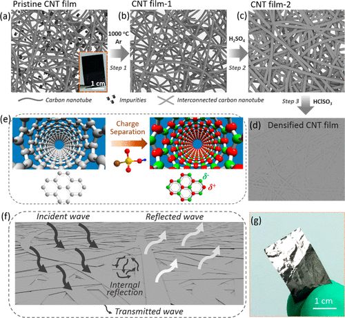 中科院深圳先進院孫蓉團隊《ACS Nano》:在高性能電磁屏蔽材料研究方面取得新進展