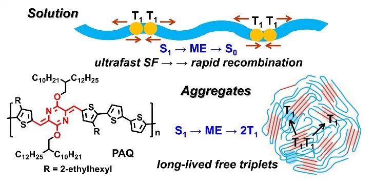 太原理工大學?王龍博士等《JACS》：醌式聚合物中的激子裂分現(xiàn)象