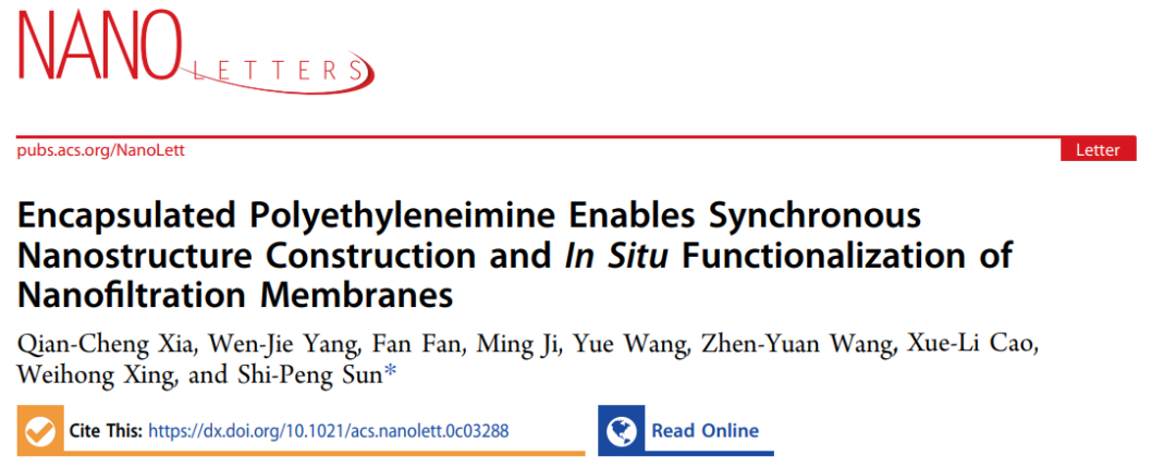 南京工業(yè)大學孫世鵬《Nano Letters》:“納米封裝”同步實現(xiàn)納濾膜的納米結構構筑和原位功能化