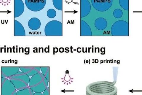 《AFM》：3D打印制造高強(qiáng)韌雙網(wǎng)絡(luò)顆粒水凝膠