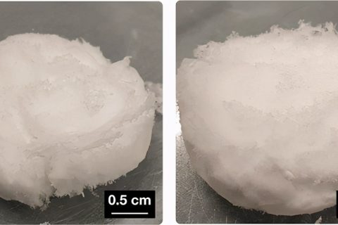 《Biomacromolecules》自組裝3D 纖維蛋白原水凝膠和氣凝膠