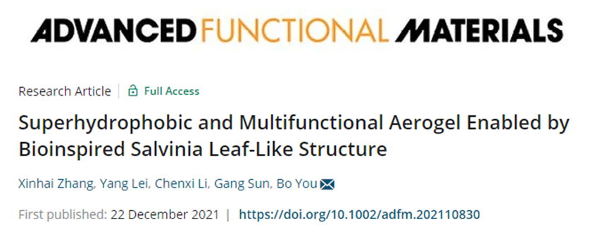 復(fù)旦大學(xué)游波教授《AFM》：仿生丹參葉狀結(jié)構(gòu)的超疏水多功能氣凝膠！